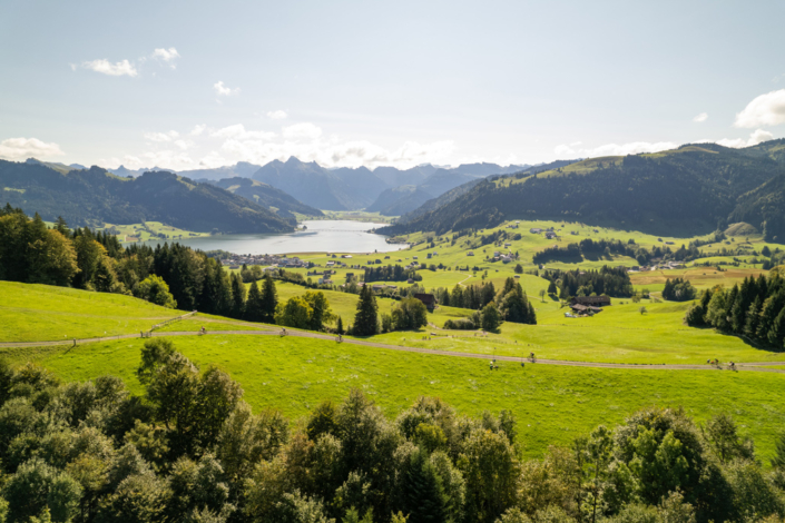 A green meadow with trees and a lake.